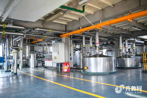 濱州 糧油金三角 糧安記者行走進香馳控股 渤海實業(yè)