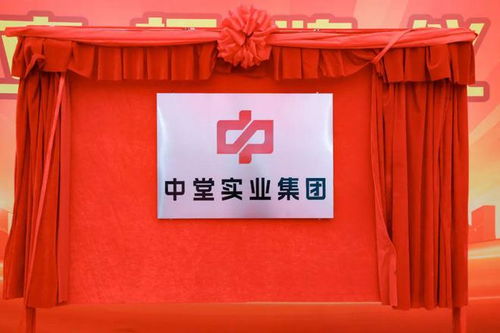 高質(zhì)量發(fā)展新征程 中堂實(shí)業(yè)集團(tuán)揭牌成立，百墩實(shí)業(yè)開(kāi)啟新篇章