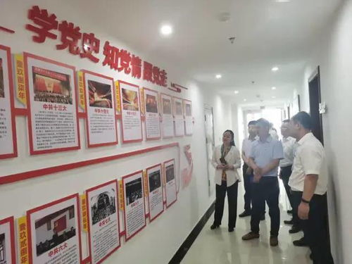 弘揚渡河精神，打造魅力孫口——臺前縣孫口鎮開展喜迎建黨百年主題黨日活動